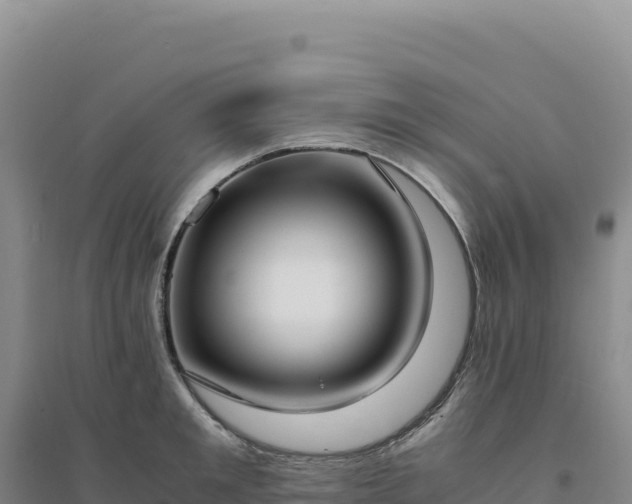 X0000094370901200711091535