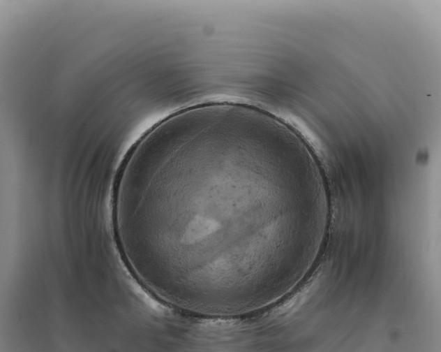 X0000094370902200711091535