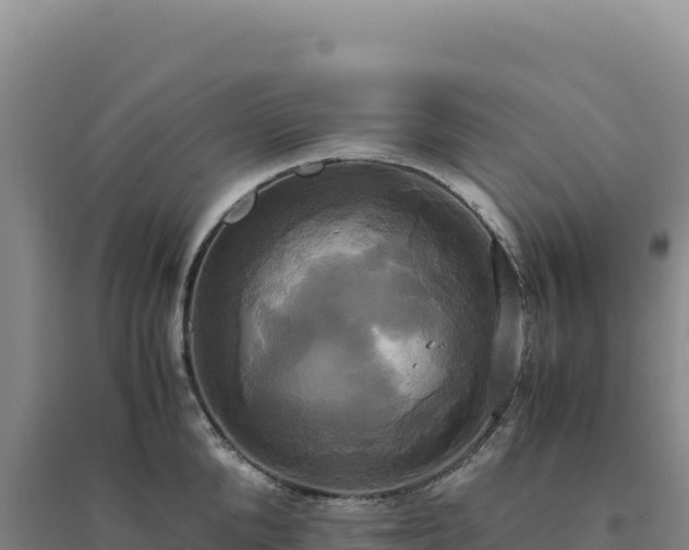 X0000094370904200711091535