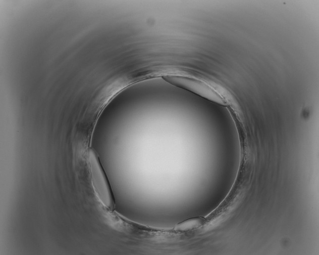 X0000094370905200711091535
