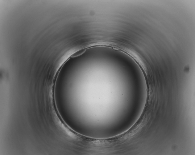 X0000094370906200711091535