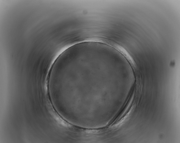 X0000094370908200711091535