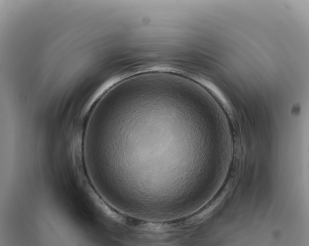 X0000094370910200711091535