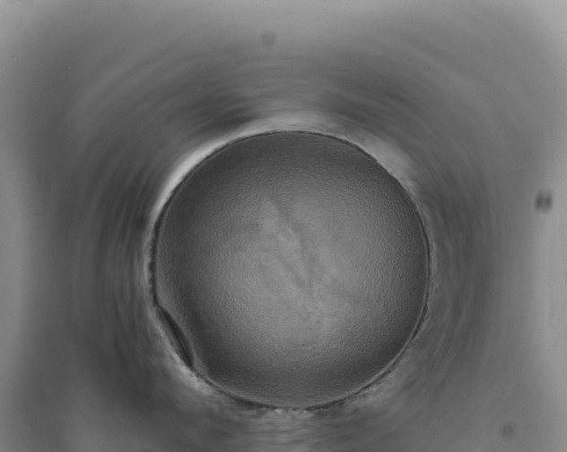X0000094370912200711091535