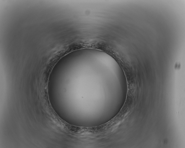 X0000094370913200711091534
