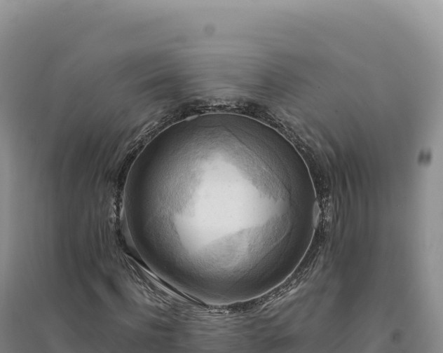 X0000094370916200711091534