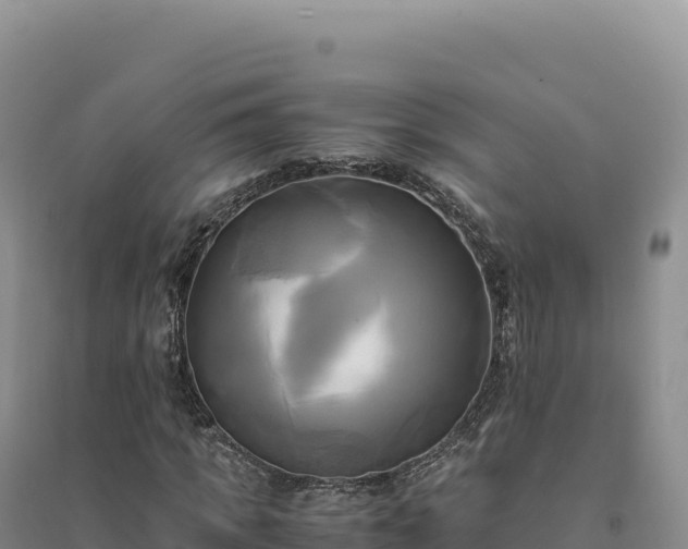 X0000094370917200711091534
