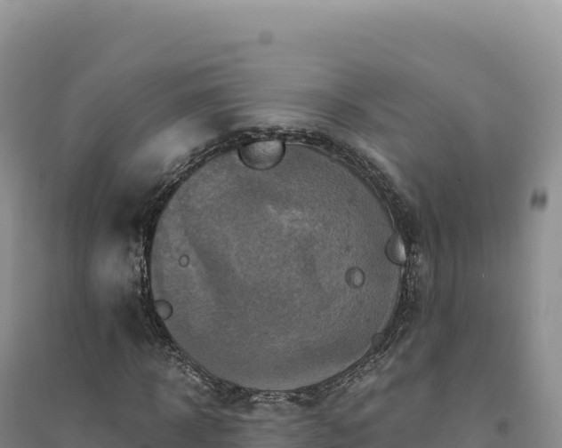 X0000094370918200711091534
