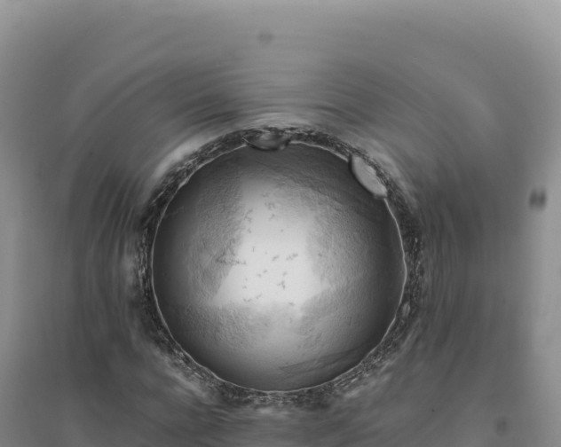 X0000094370920200711091534