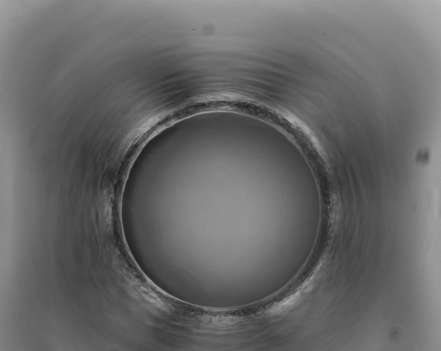 X0000094370921200711091534