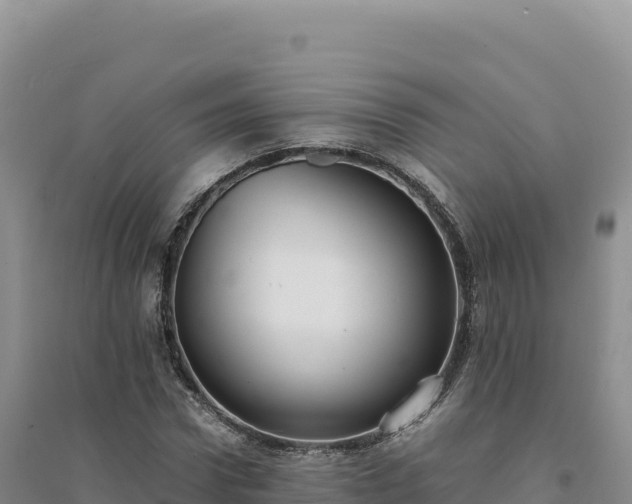 X0000094370922200711091534