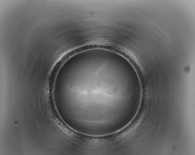 X0000094370923200711091534