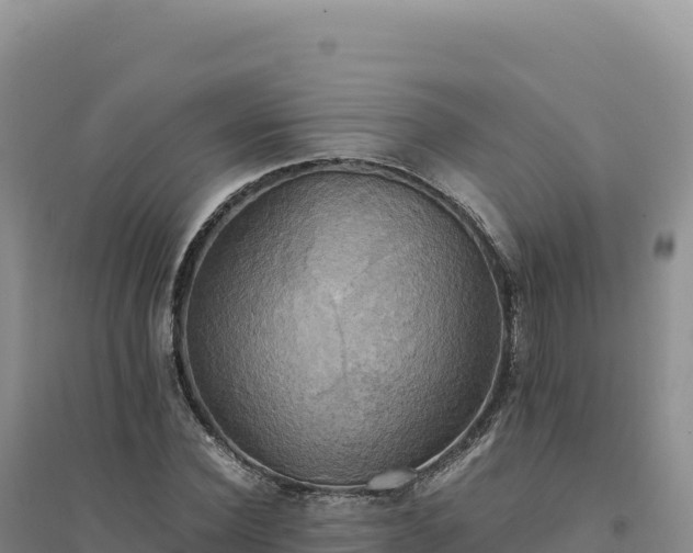X0000094370924200711091534