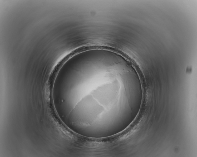 X0000094370925200711091534