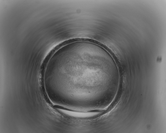X0000094370926200711091534
