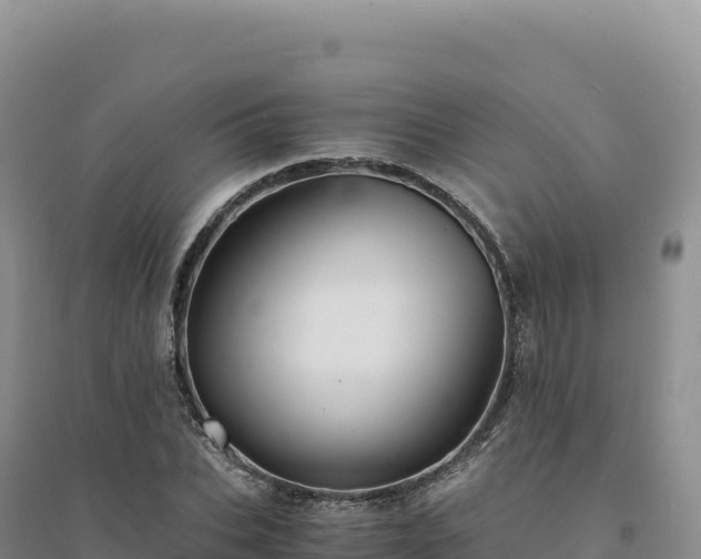 X0000094370927200711091534
