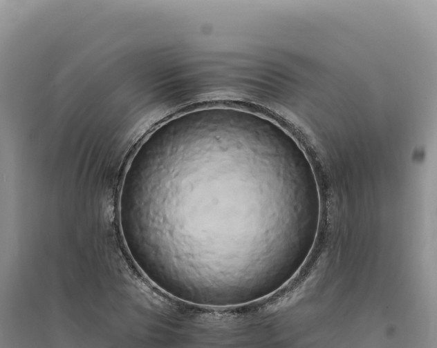 X0000094370929200711091534