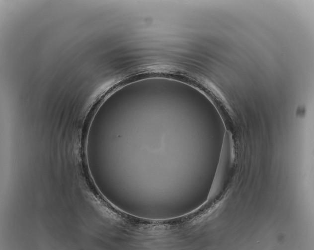 X0000094370930200711091534