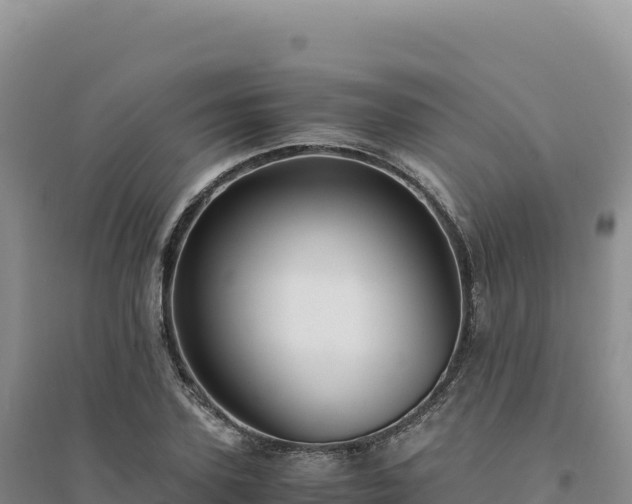 X0000094370931200711091534