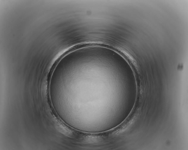 X0000094370933200711091534