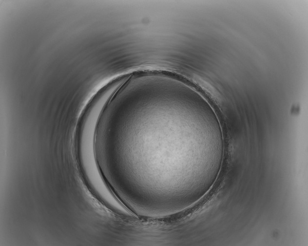 X0000094370934200711091534