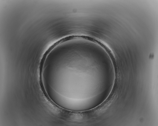 X0000094370935200711091534