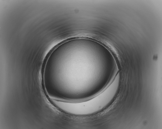 X0000094370936200711091534