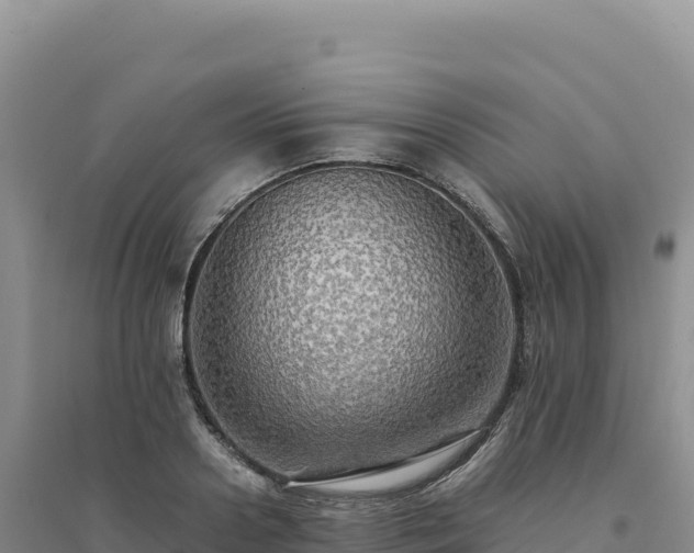 X0000094370938200711091534