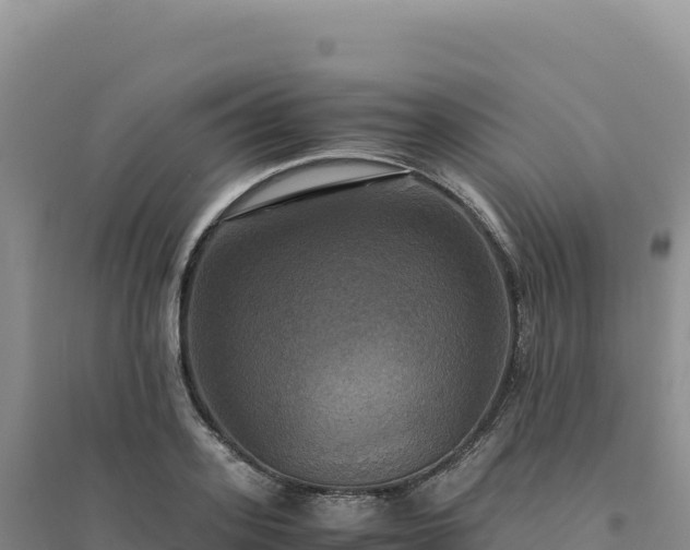 X0000094370939200711091534