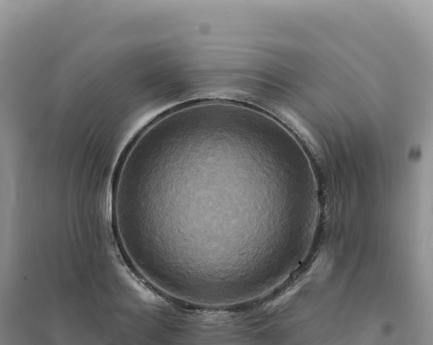 X0000094370940200711091534