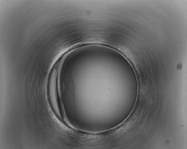 X0000094370941200711091534