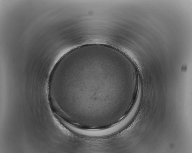 X0000094370942200711091534
