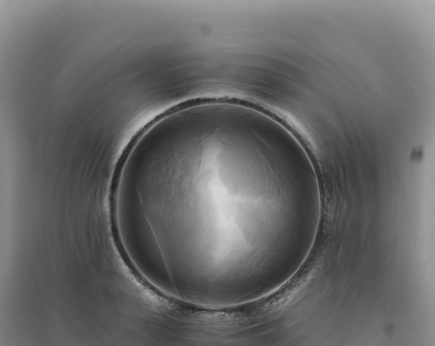 X0000094370943200711091534