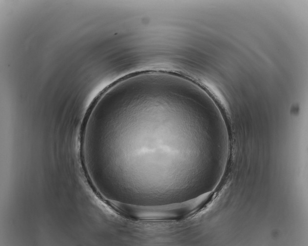 X0000094370944200711091534