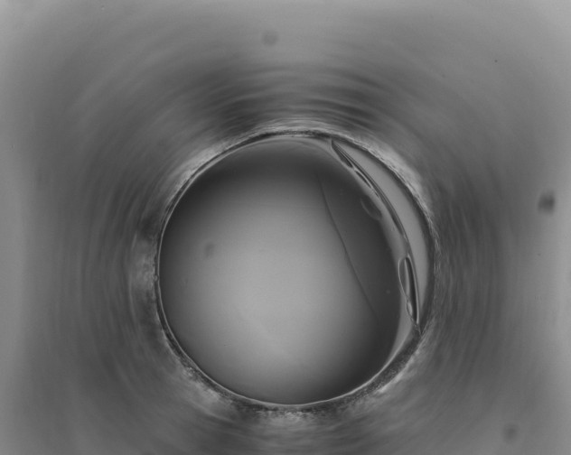 X0000094370945200711091534