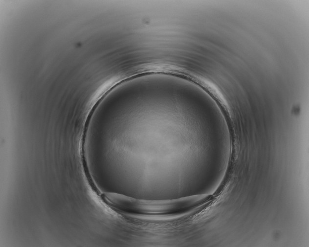 X0000094370946200711091534