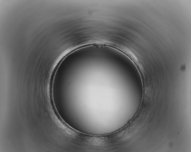 X0000094370947200711091534