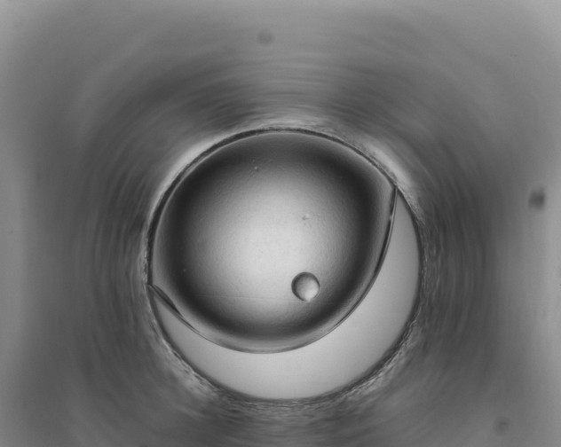 X0000094370948200711091534