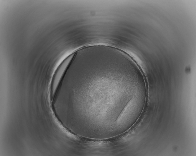 X0000094370949200711091534