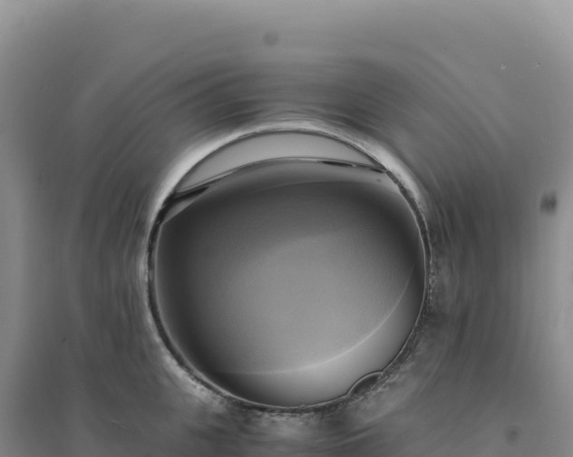 X0000094370951200711091534