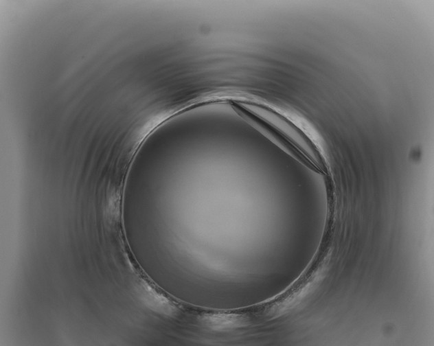 X0000094370953200711091534