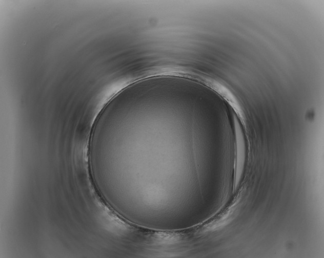X0000094370954200711091534