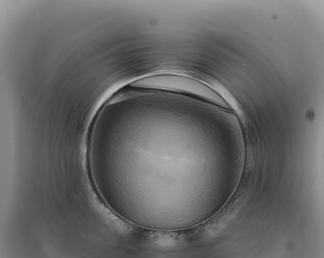 X0000094370955200711091534