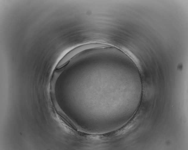 X0000094370956200711091534