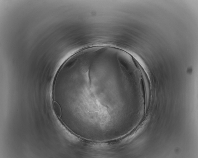 X0000094370957200711091535