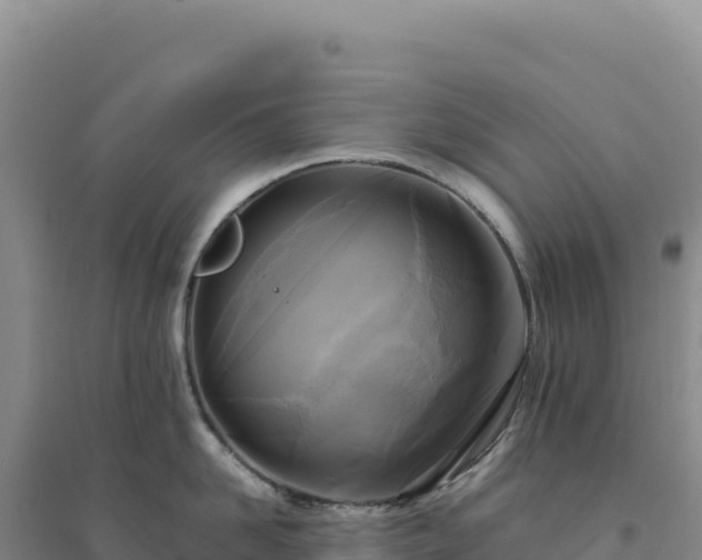 X0000094370958200711091535