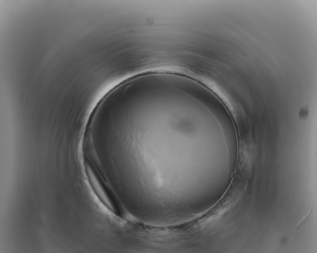 X0000094370959200711091535