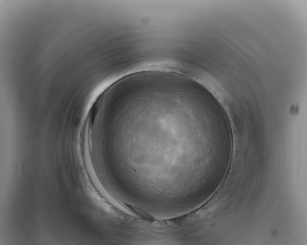 X0000094370960200711091535