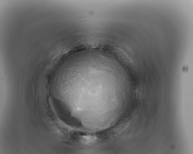 X0000094370961200711091534