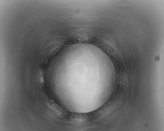 X0000094370962200711091534